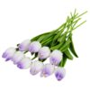 10pcs color O