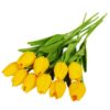 10pcs color P
