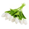 10pcs color I