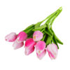 10pcs color M