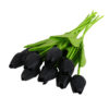 10pcs color N