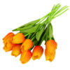 10pcs color C