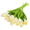 10pcs color D