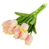 10pcs color G