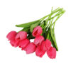 10pcs color F