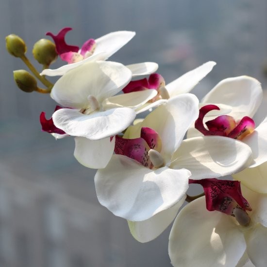 1 tallo flor Artificial de seda polilla orquídea mariposa orquídea para la nueva casa decoración de fiestas de bodas 6 tipos 12 colores F152