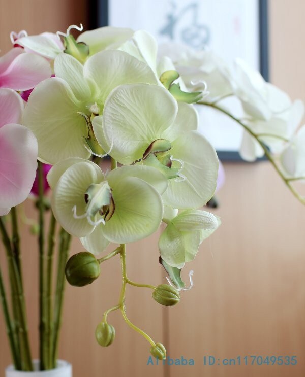 1 tallo flor Artificial de seda polilla orquídea mariposa orquídea para la nueva casa decoración de fiestas de bodas 6 tipos 12 colores F152