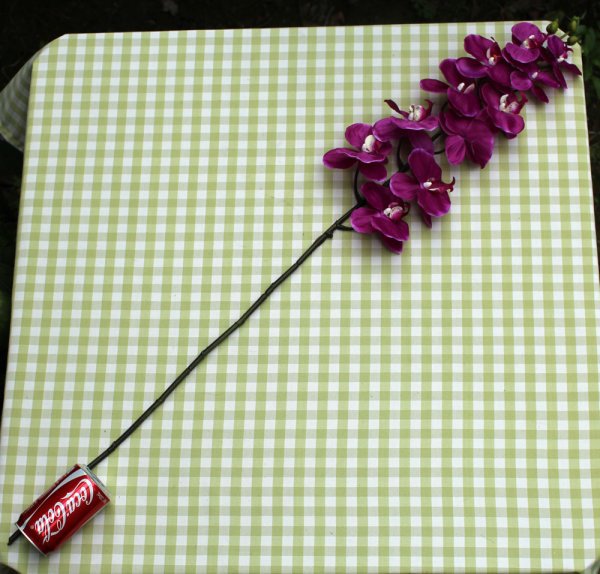 1 tallo flor Artificial de seda polilla orquídea mariposa orquídea para la nueva casa decoración de fiestas de bodas 6 tipos 12 colores F152