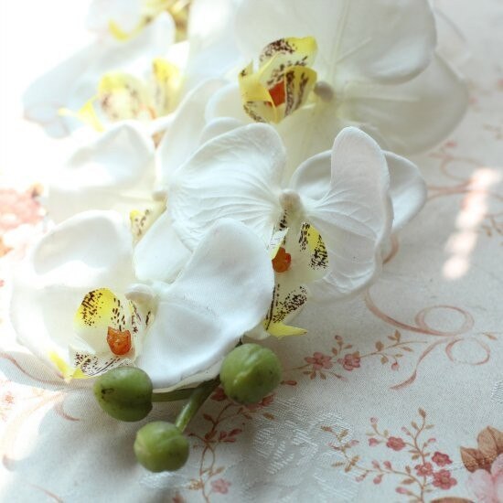 1 tallo flor Artificial de seda polilla orquídea mariposa orquídea para la nueva casa decoración de fiestas de bodas 6 tipos 12 colores F152