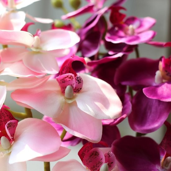 1 tallo flor Artificial de seda polilla orquídea mariposa orquídea para la nueva casa decoración de fiestas de bodas 6 tipos 12 colores F152