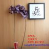 type C dark Purple