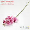 type F Purple pink
