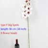 type F big Spots
