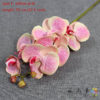 type F Yellow Pink