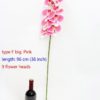 type F big Pink