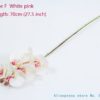 type F White pink