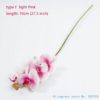 type F light Pink