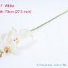 type F White