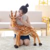 deer