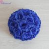 Color 9 royal blue